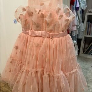 Pink Heart Tulle Dress